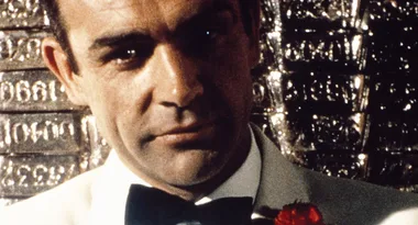 Bust of a man in a tuxedo with a white jacket and red carnation, standing before engraved metal bars.