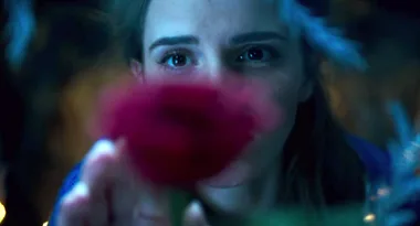 Woman gazing closely at a red rose in dim lighting.