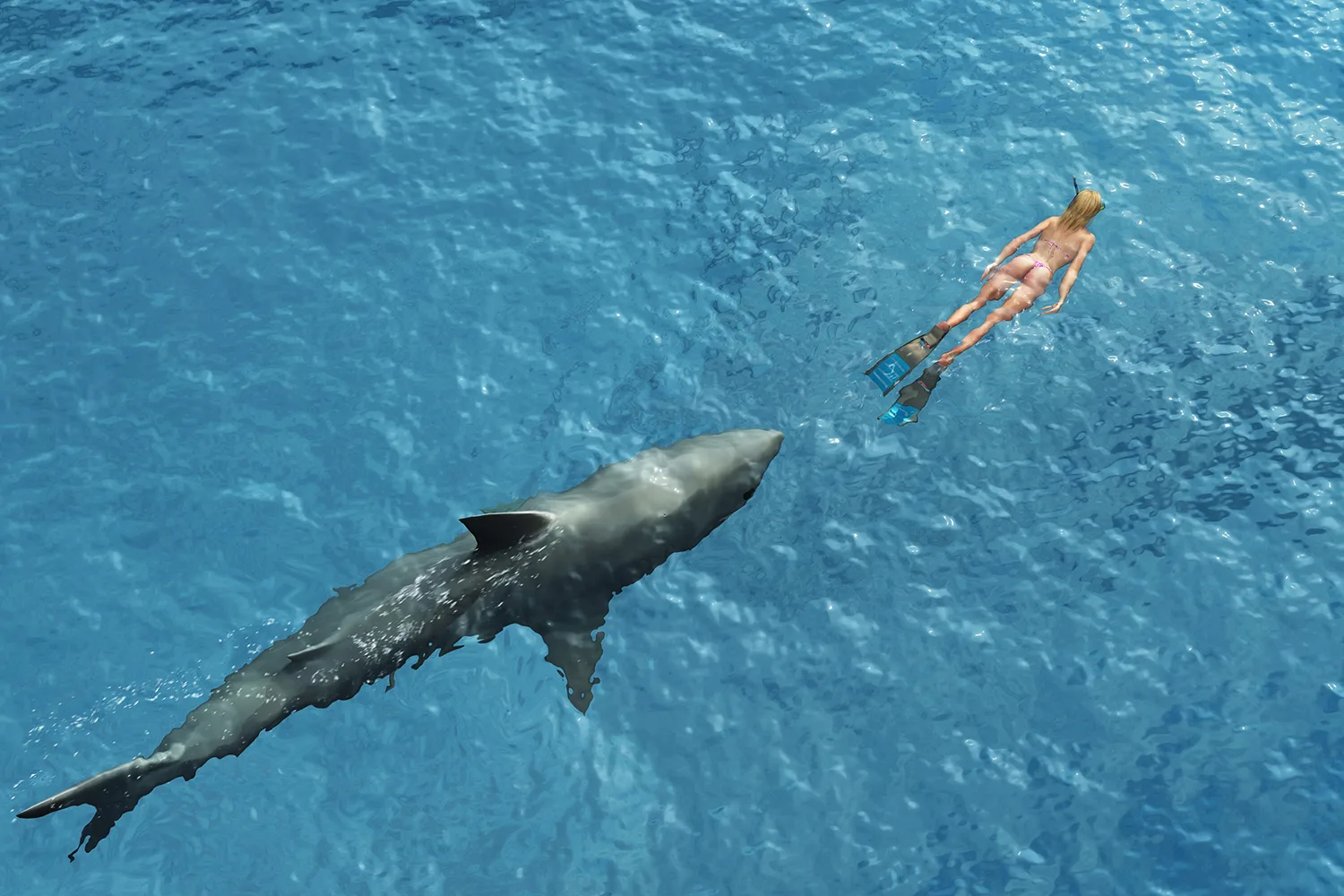 Instagram Model Bitten By Shark While Trying To Get “The Shot”