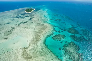 Tiffany & Co. Is Campaigning To Save The Great Barrier Reef