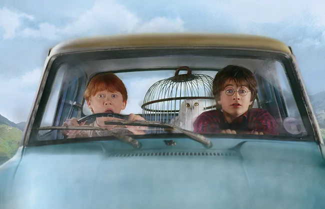 Two boys and an owl in a cage inside a flying car, looking surprised, from a famous fantasy film series.