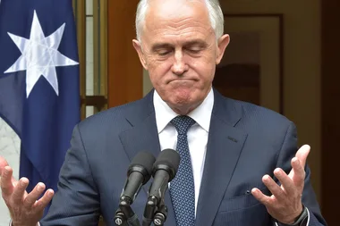 The Best Social Media Reactions To The #LibSpill