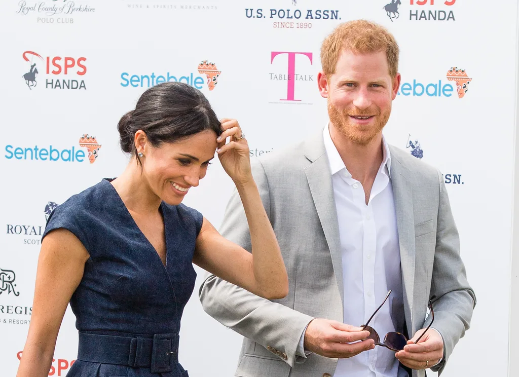 meghan markle prince harry politics