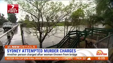 Another person charged over woman thrown over bridge