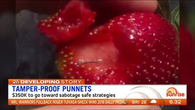 Tamper-proof strawberry punnets announced by Australian government