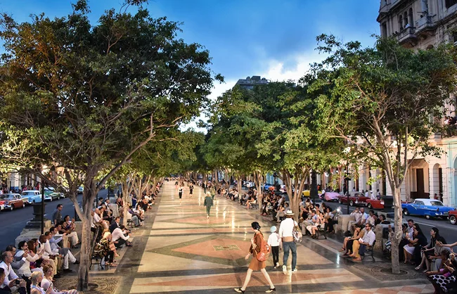 A bustling tree-lined street with people walking and sitting, surrounded by vintage cars and buildings.