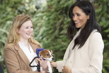 Meghan Markle Just Had Her Cutest Engagement Yet, Hanging Out With Rescue Dogs