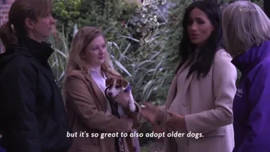 WATCH: Meghan Markle Wore a $35 Dress to Hang Out With a Bunch of Dogs