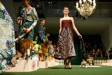Dog Show Or Fashion Show? How About Both!