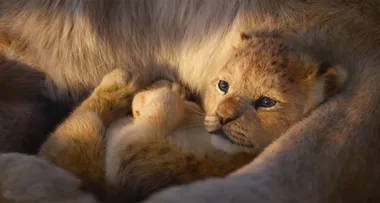 WATCH: Disney drops brand new trailer for ‘The Lion King’