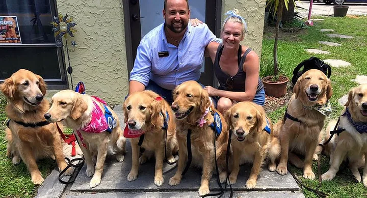 Man and woman smiling with seven golden retrievers, some in pink and blue vests, sitting outside on a sunny day.