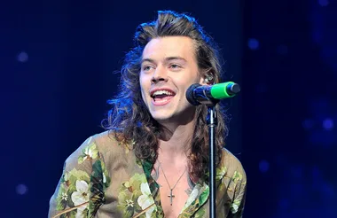 Harry Styles and His Lush Locks are Set to Play Prince Eric