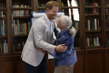 Prince Harry And Dr Jane Goodall Reenacting A Chimp Greeting Is All You Need To See Today