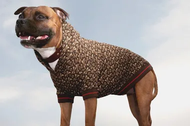 Burberry’s Limited-Edition Dog Accessories Will Ensure Your Bestie Is As Stylish As You