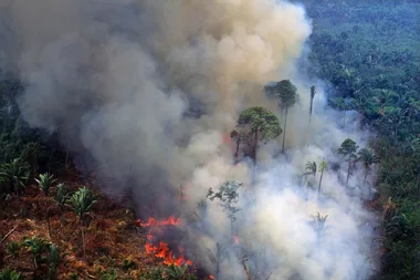 The Amazon Rainforest Is Burning, And You Can See The Damage From Space