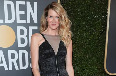 Laura Dern Got Candid About The Stress Of Being A Single Parent