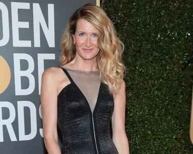 Laura Dern Got Candid About The Stress Of Being A Single Parent