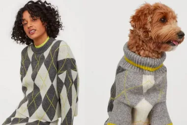 H&M Is Selling Matching Jumpers For Dogs And Their Owners