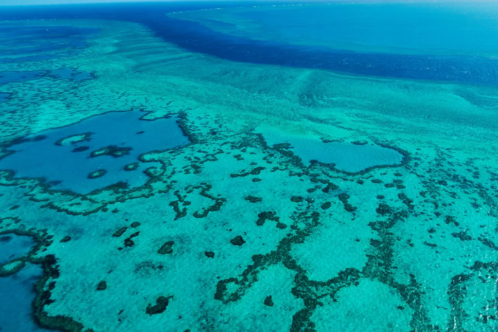 great barrier reef