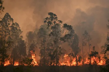 Australia Is Burning And We Need To Talk About Climate Change