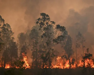 Australia Is Burning And We Need To Talk About Climate Change