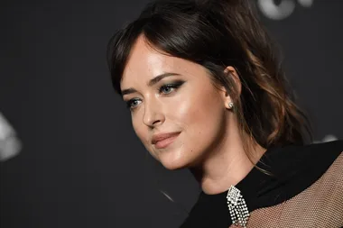 Dakota Johnson’s Latest Look Is An Early Christmas Gift For Us All