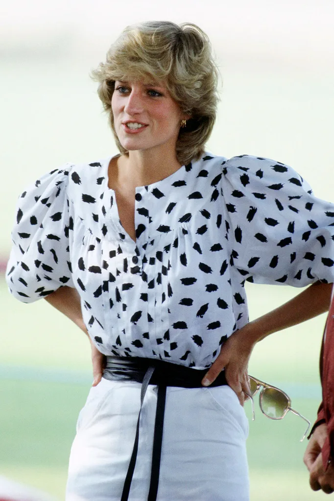 Princess Diana Recycled Royal Wardrobe