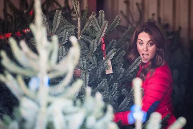 Please Enjoy These Adorable Photographs Of Kate Middleton Christmas Tree Shopping