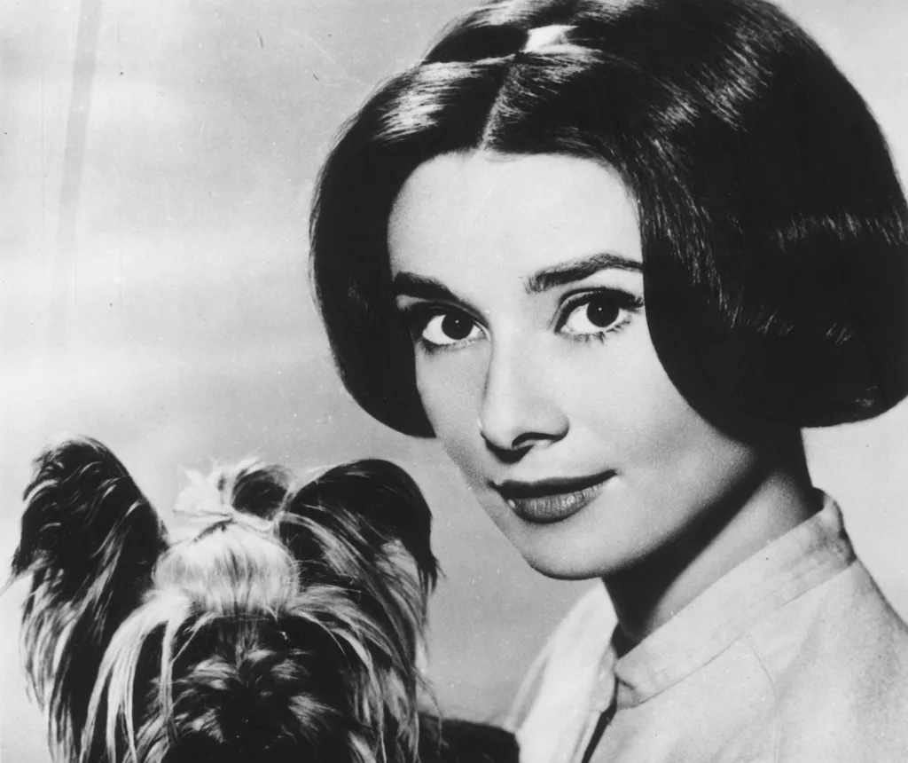 Audrey Hepburn 1