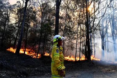 All The Bushfire Fundraising Initiatives Happening This Week