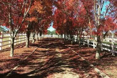 Farm Retreats Are Set To Be The Biggest Travel Trend For 2020