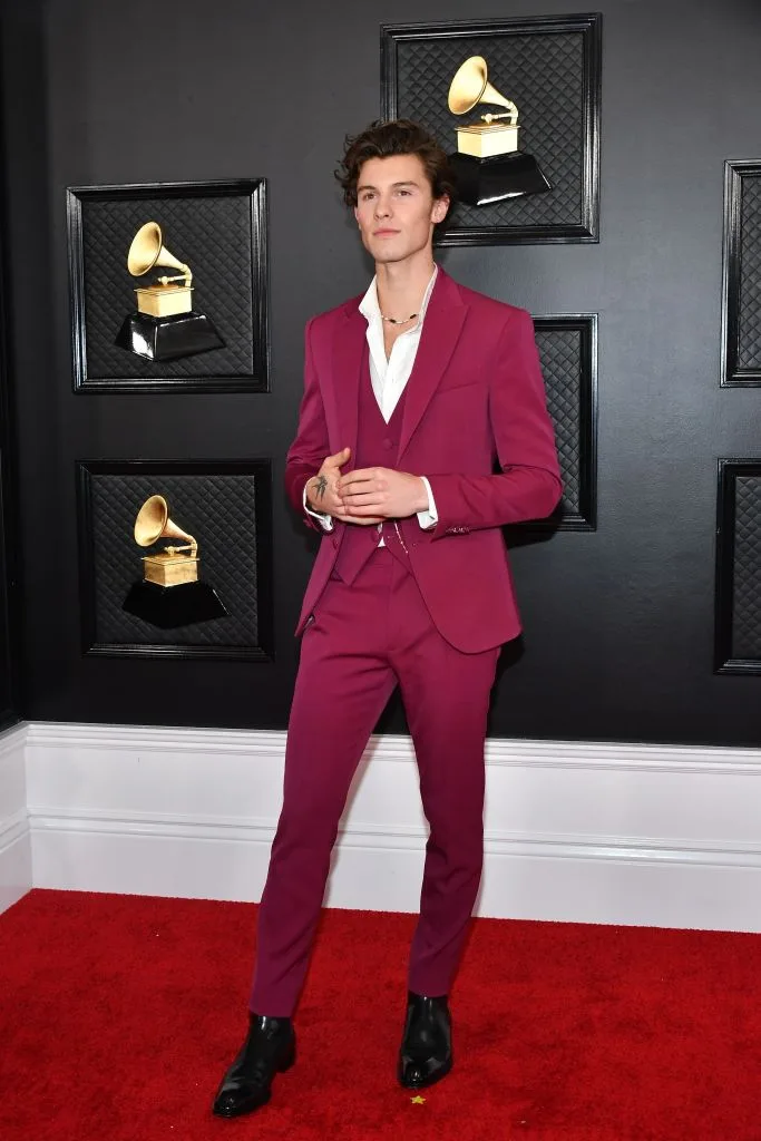 shawn mendes grammys 2020