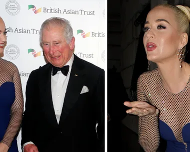 Katy Perry promises to ‘sing’ to Prince Charles’ plants