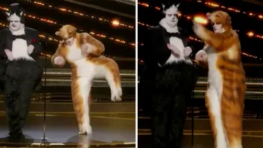 Rebel Wilson and James Corden present Oscars as Cats