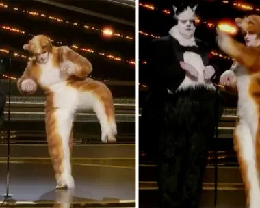 Rebel Wilson and James Corden present Oscars as Cats