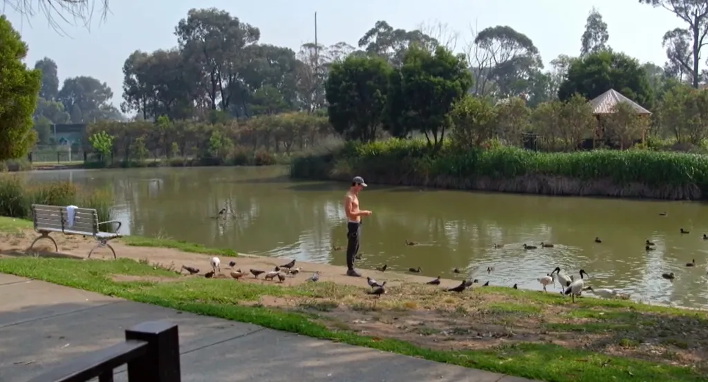 Ivan feeding the ducks