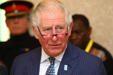 Prince Charles Shares First Public Update On His Experience With Coronavirus