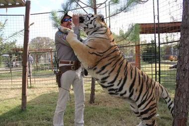 Hey, Cool Cats And Kittens: Another Episode Of ‘Tiger King’ Is Coming