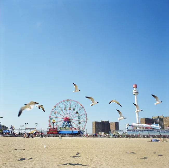 Seagulls flying over a sandy beach with a Ferris wheel and observation tower in the background under a clear blue sky.