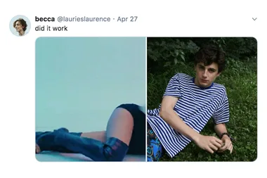 Twitter’s Hilarious New Trend ‘Did It Work’ Is All You Need To See Today