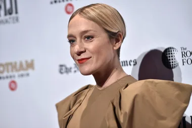 Actress Chloë Sevigny Has Given Birth To Her First Child