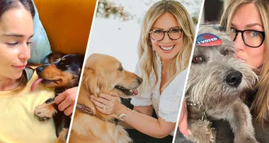 20 Celebrities And Their Popular Pets Keeping Them Company In Isolation