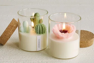 succulent candle