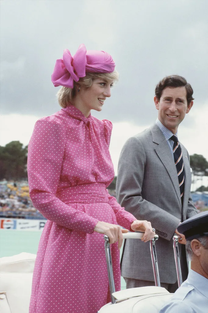 diana and charles