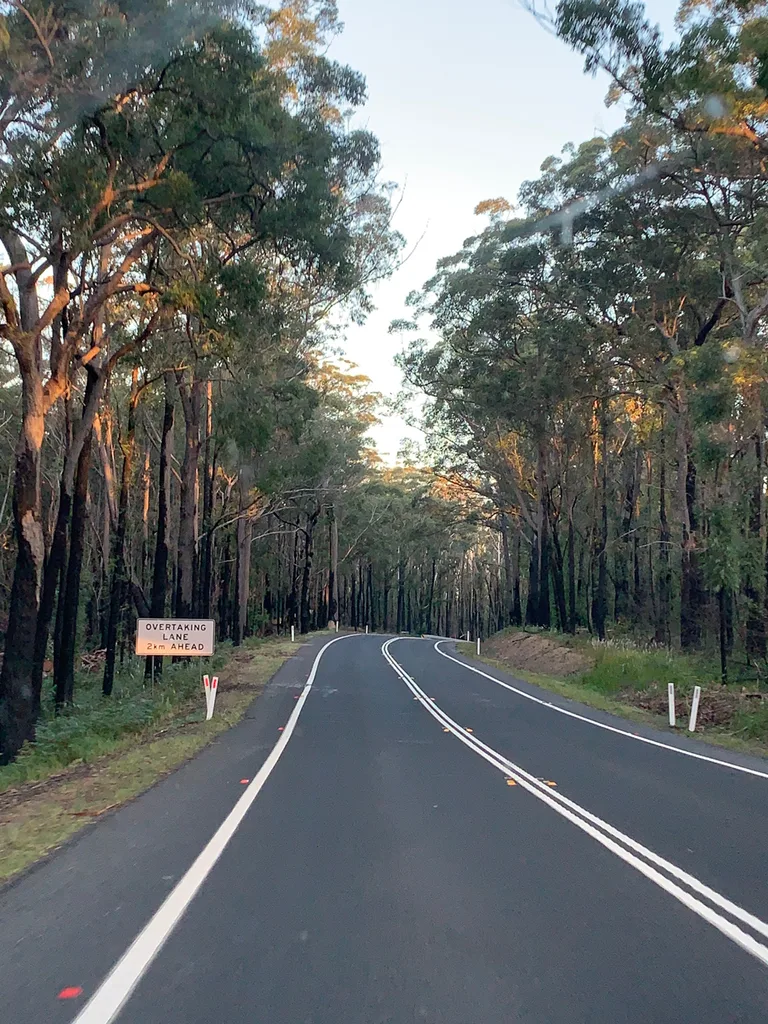 bushfires