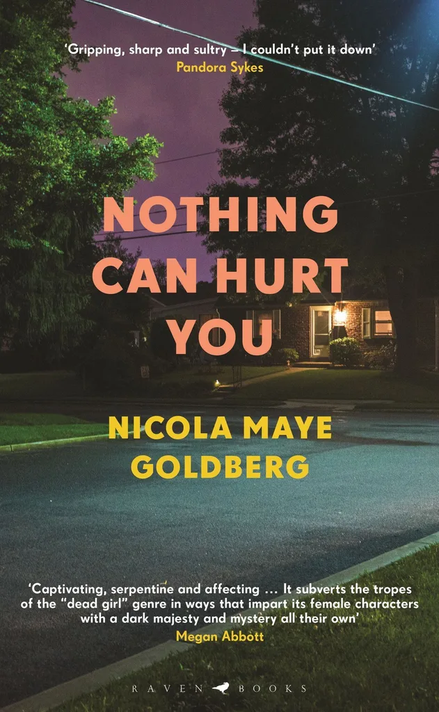 Nothing Can Hurt You book cover