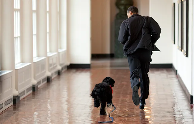 A man jogging down a corridor with a black and white dog on a leash.