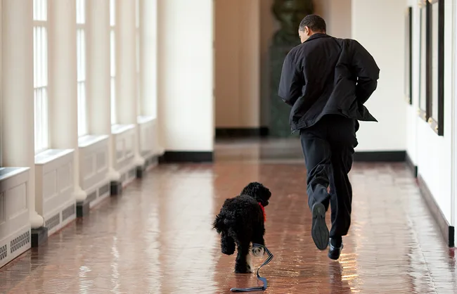 A man jogging down a corridor with a black and white dog on a leash.