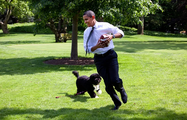 A man playing football with a black and white dog on a grassy field, with trees in the background.