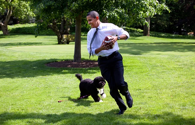 A man playing football with a black and white dog on a grassy field, with trees in the background.